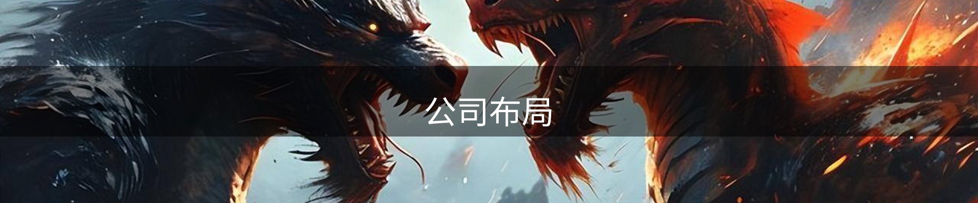 公司布局