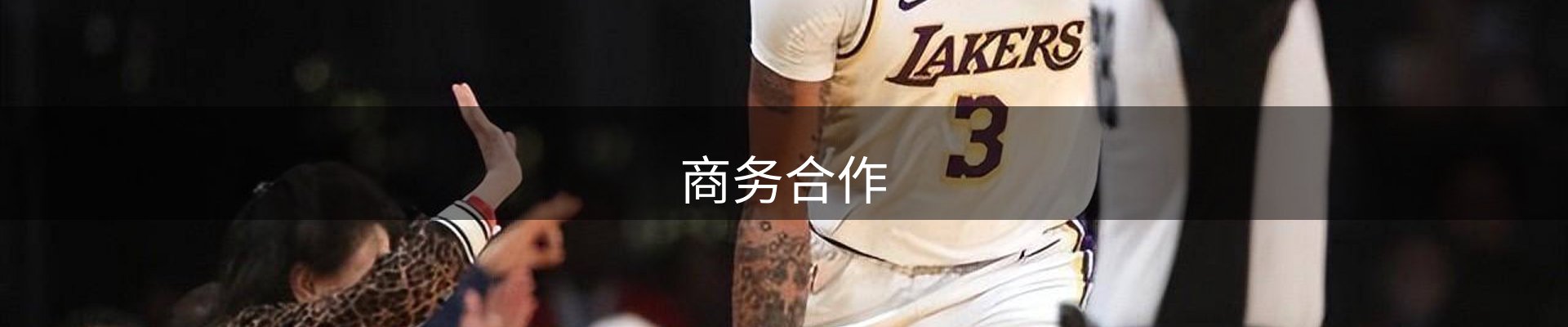 商务合作